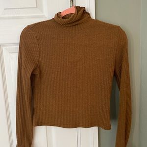 Cropped Beige Turtleneck